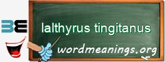 WordMeaning blackboard for lalthyrus tingitanus